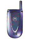 Best available price of Motorola V66i in Singapore